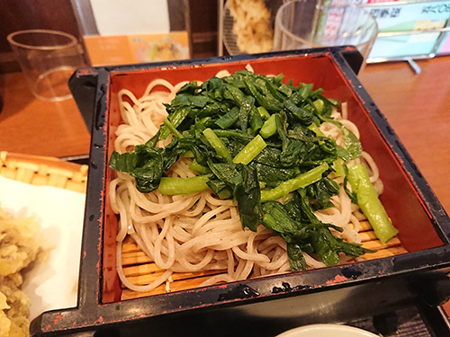 エロスレンダー奥様はヘルシーでスタミナもバッチリ!